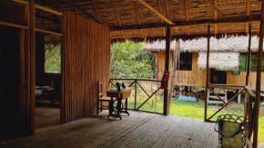 Castaña Amazon Park